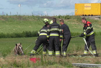 nieuws spaarndammerdijk spaarndam