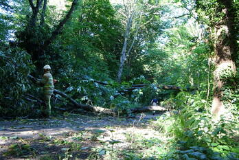 natuur wold 15 lelystad