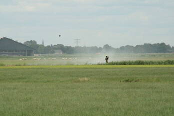 brand tjalhuizum tjalhuizum
