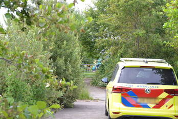 nieuws henegouwernesse waddinxveen