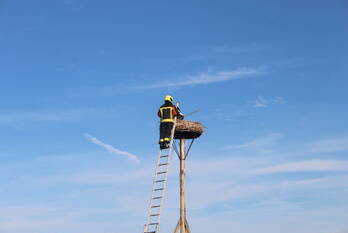 nieuws dorpsweide valkenburg