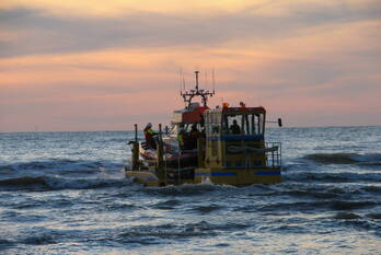 nieuws koningin wilhelmina boulevard - kon. wilhelmina boulevard noordwijk