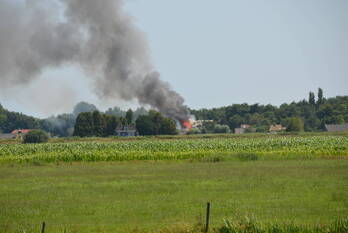 brand krûme swynswei nij beets