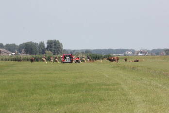 nieuws cors rijkeweg eemnes