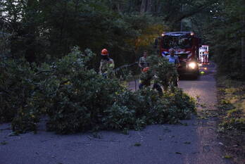 natuur everlaan wageningen