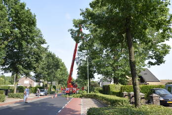 natuur bennekomseweg - n782 renkum