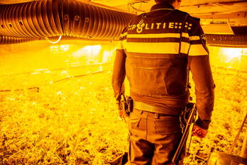 nieuws jacob van ruysdaelstraat almere