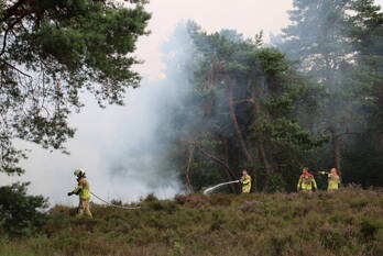 brand treekerweg leusden