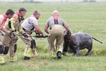 nieuws cors rijkeweg eemnes