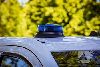 nieuws eekhoornrade den haag