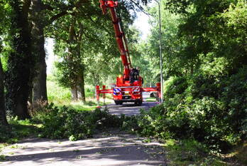 natuur langschoterweg bennekom