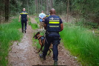 nieuws de zoom soest