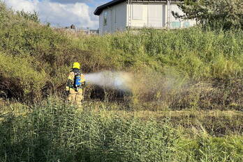 brand haringvlietweg den helder