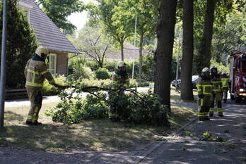 natuur kalverweidendijk dinxperlo