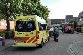 brand spinozastate ede