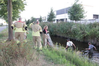 nieuws ruizendaallaan eemnes