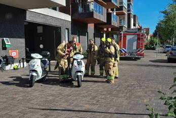 milieu raadhuisplein zwijndrecht