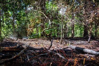 brand nachtegaallaan lieshout