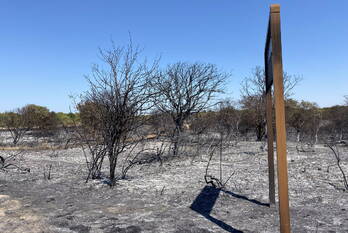 brand g.c. schellingerweg ouddorp