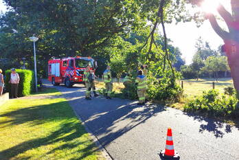 natuur halderbrinkweg bennekom