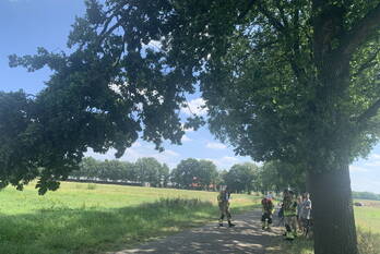 natuur kuilenweg bruchterveld