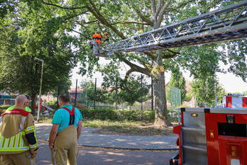 natuur willem barentszstraat bussum
