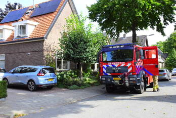 brand bettekamp ede