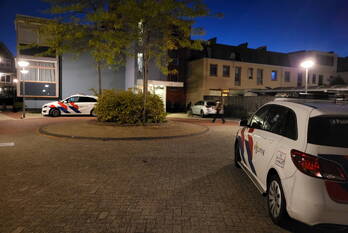 nieuws wold 26 lelystad