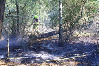 brand schoordijk weert