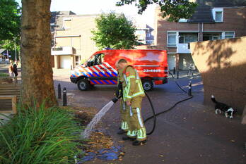 brand hegstraat weert