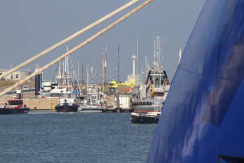 nieuws havenplein den helder
