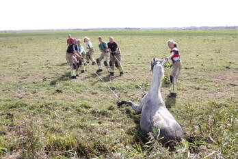 nieuws cors rijkeweg eemnes