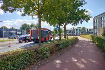 natuur reggesingel rijssen