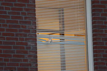 schietincident veenendaalplein amsterdam