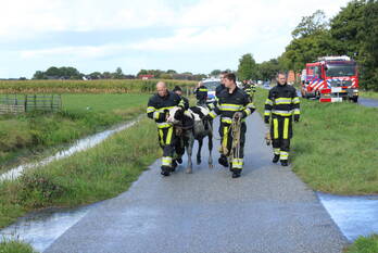 nieuws ingenawei nijland