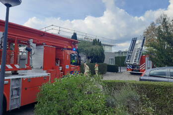 nieuws aletta jacobskade vlaardingen