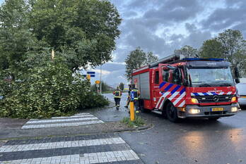 natuur koekoekplein gouda