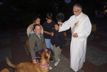 nieuws van beeklaan hooglanderveen