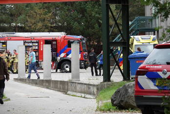 milieu zwarte dijk slagharen