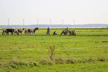 nieuws meentweg eemnes