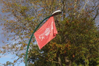 nieuws westdijk bunschoten-spakenburg