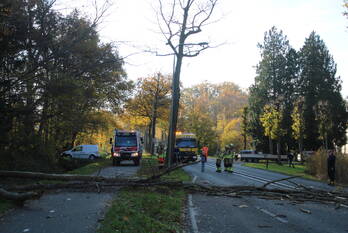natuur geeresteinselaan - n226 woudenberg