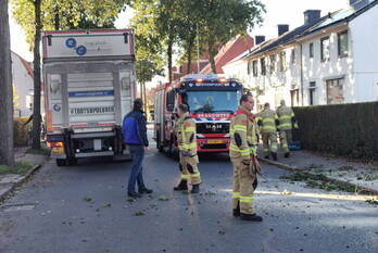 natuur verlengde parkweg ede