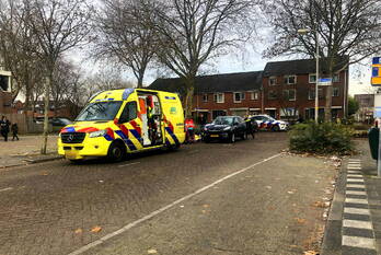 ongeval koolmees ridderkerk