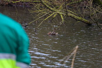 nieuws huizermaatweg huizen