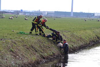 nieuws beijerincklaan - n453 waddinxveen