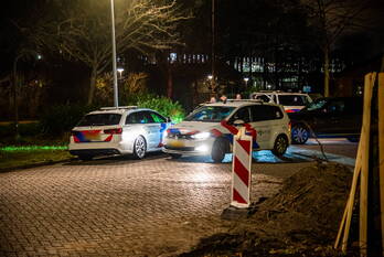 nieuws erica hoogvliet rotterdam