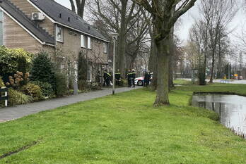 steekincident zomerlust gouda