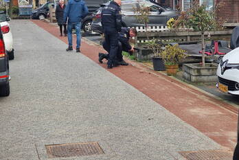 nieuws griend 38 lelystad