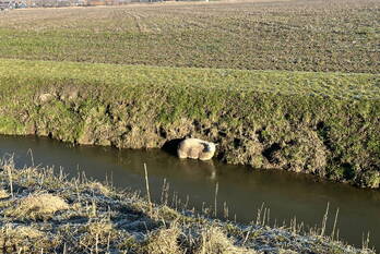 nieuws veerweg numansdorp